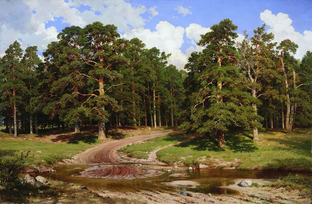 the pine forest